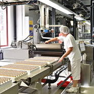 producent linii produkcyjnych